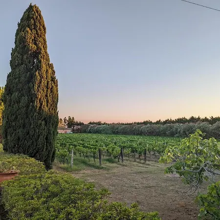 Borghetto Club 4*