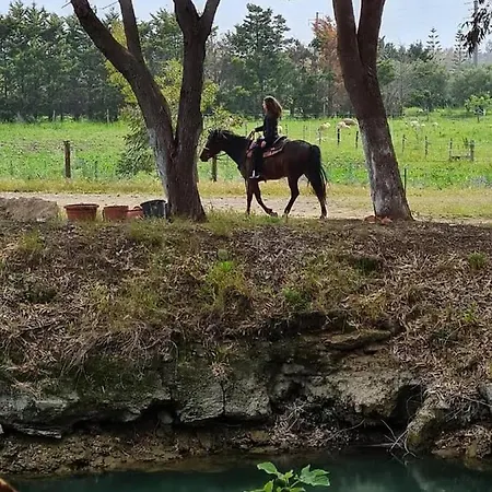 Fattoria Il Borghetto 4*