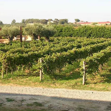 Fattoria Il Borghetto Hotel 4*