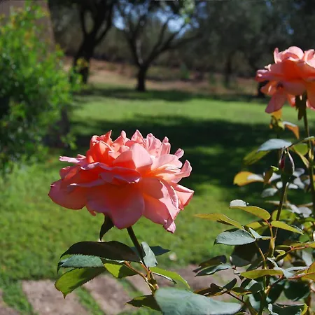 Hotel Fattoria Il Borghetto 4*