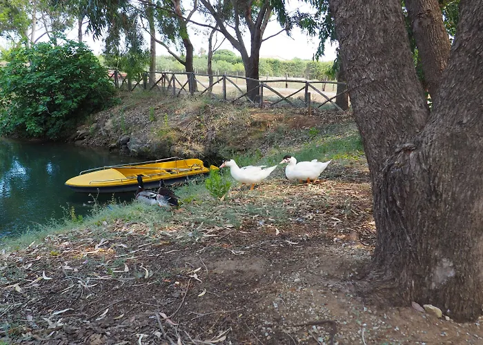Fattoria Il Borghetto 4*