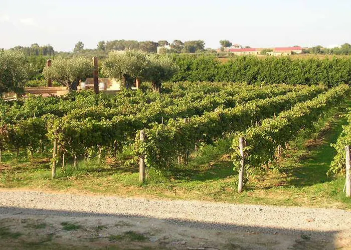 Hotel Fattoria Il Borghetto Capo Rizzuto